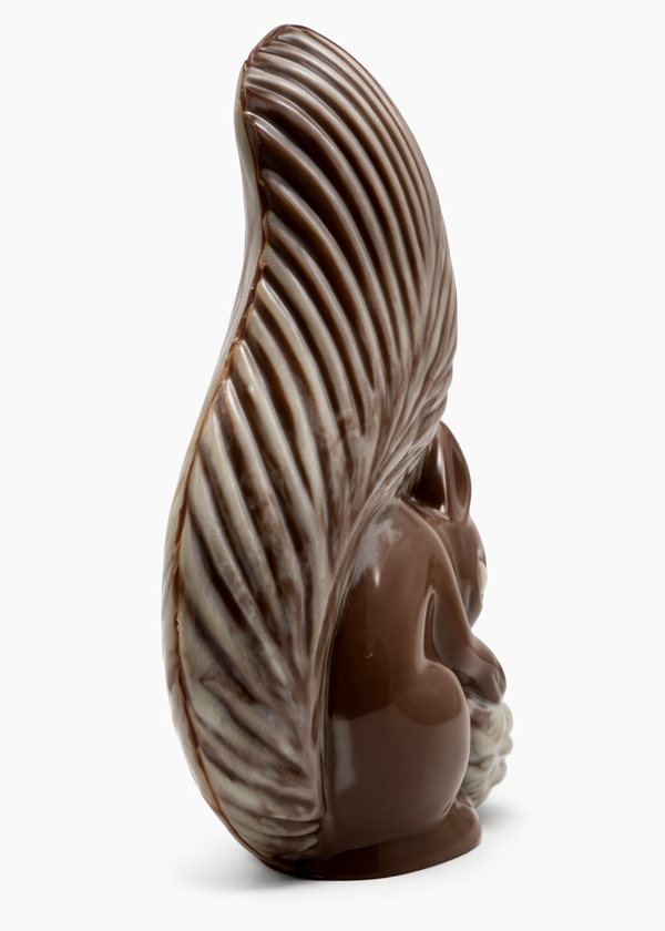Photo écureuil chocolat Pâques