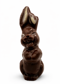 Photo lapin chocolat paques