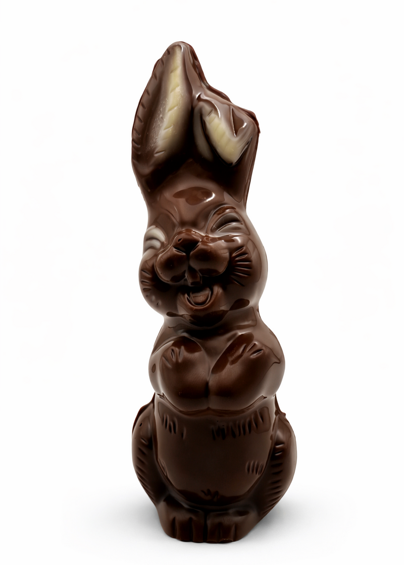 Photo lapin chocolat paques